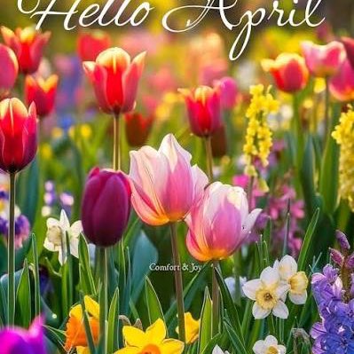 Walking Wanderers Walking Wanderers post image