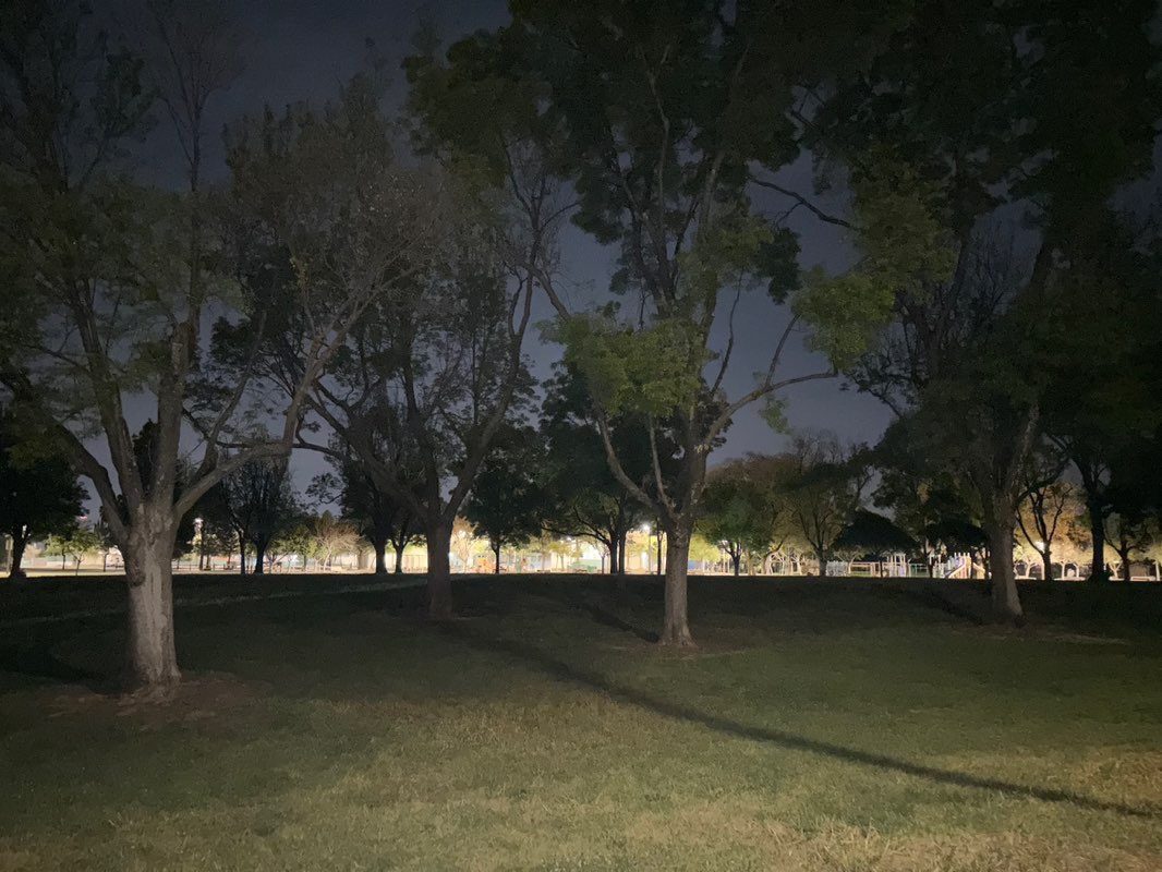 walking near me in Houge Park in spring