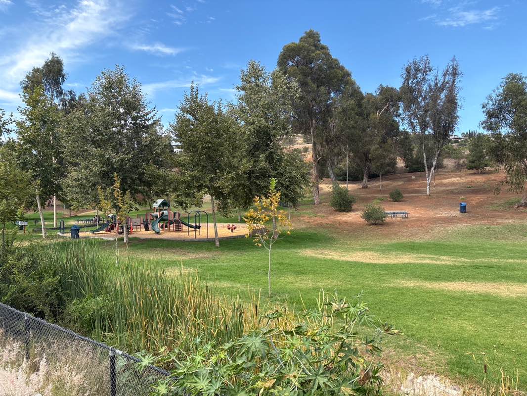 walking near me in Eucalyptus Park in summer