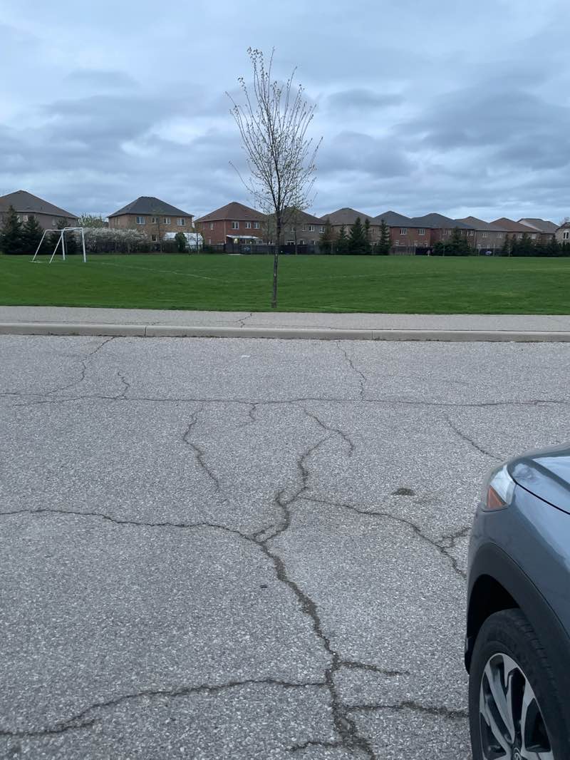 walking near me in Madill Common in spring