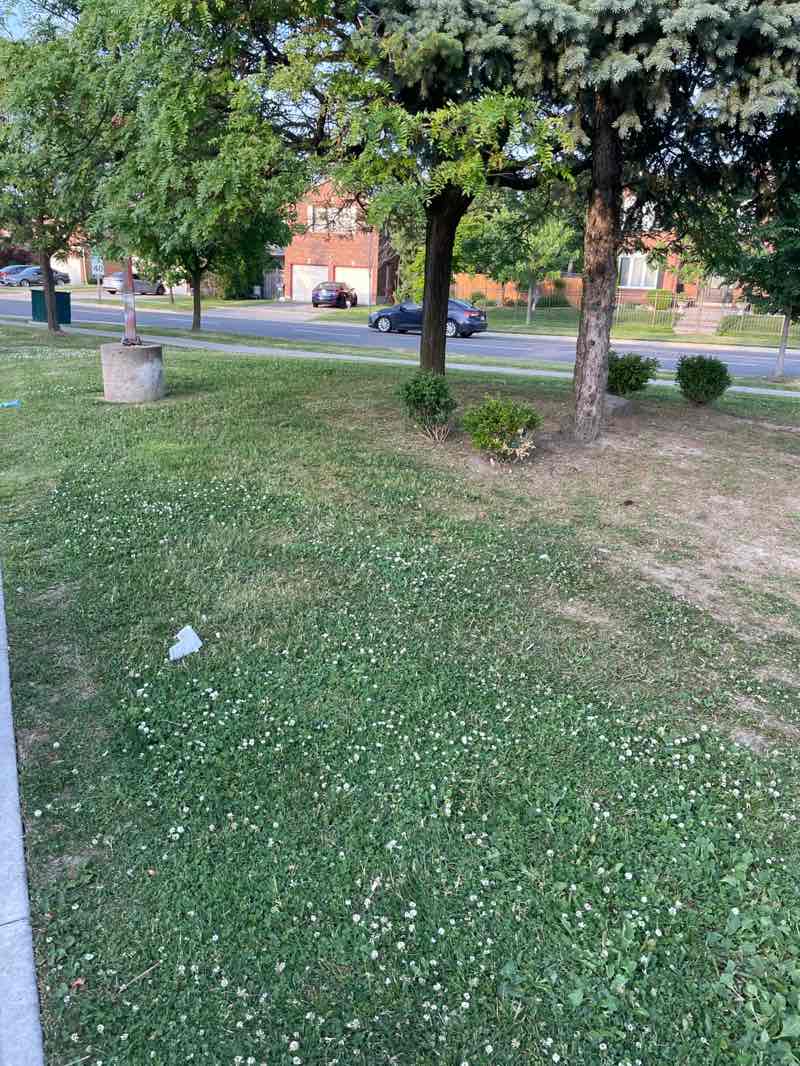 walking near me in Hawthorne Valley Park in summer