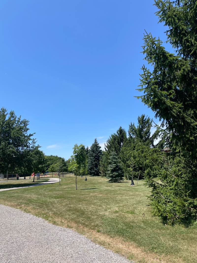 walking near me in Trenholme Park in autumn