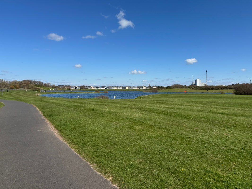 walking near me in Irvine Beach Park in spring