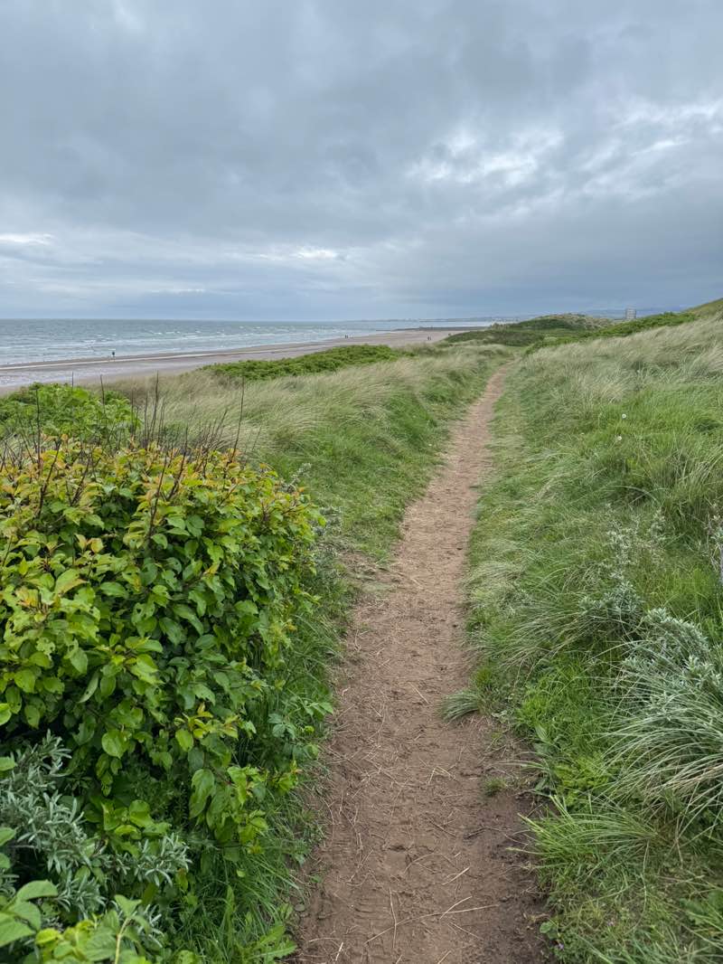 walking near me in Irvine Beach Park in summer