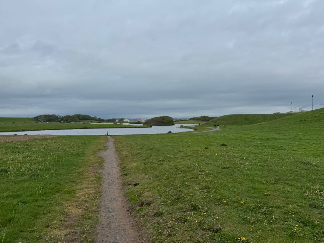walking near me in Irvine Beach Park in summer