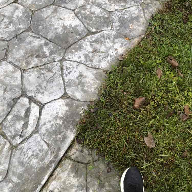 Mohali Masters 🌹🌹Hjh Fezailah Chang Abdullah 郑 post image