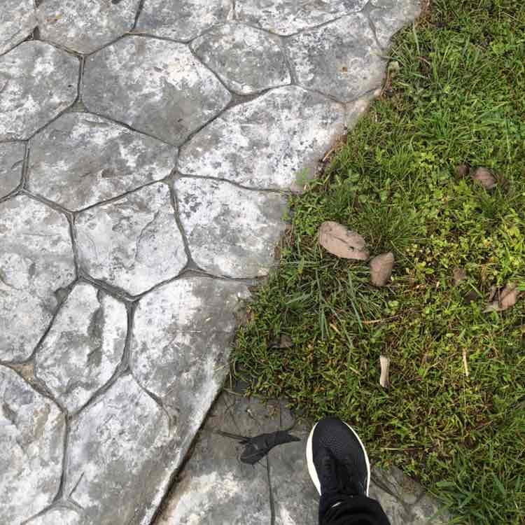 Mohali Masters 🌹🌹Hjh Fezailah Chang Abdullah 郑 post image