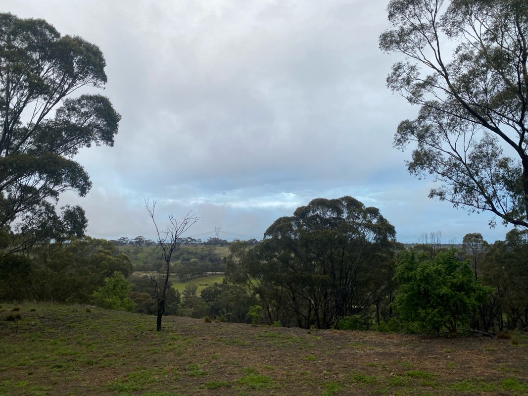 walking near me in Brimbank Park in spring