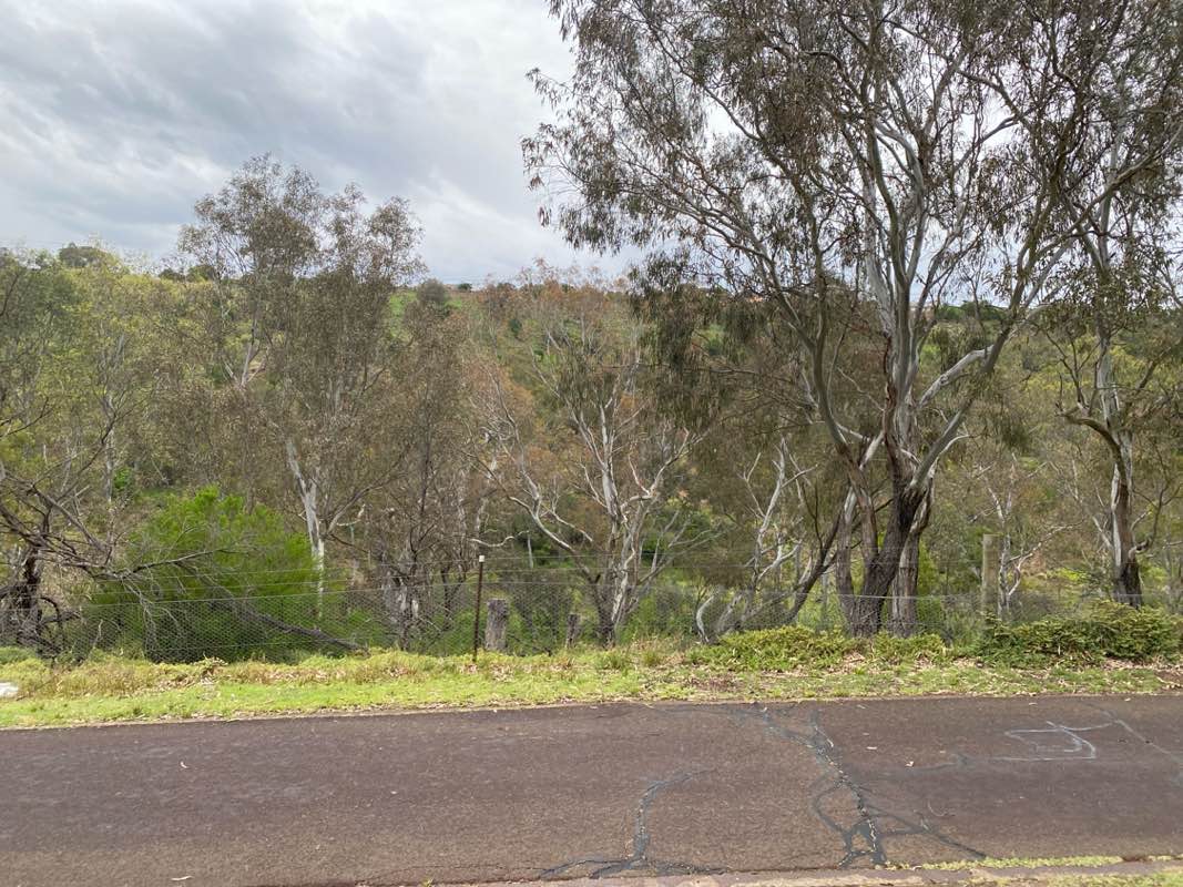 walking near me in Brimbank Park in summer
