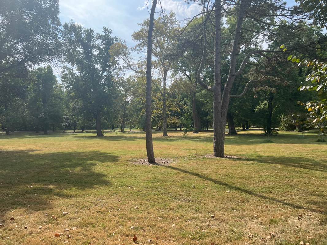 walking near me in Tower Grove Park in autumn