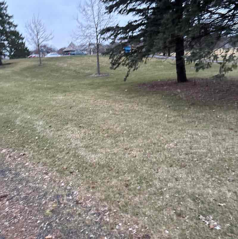 sarahsullivan327 post 1