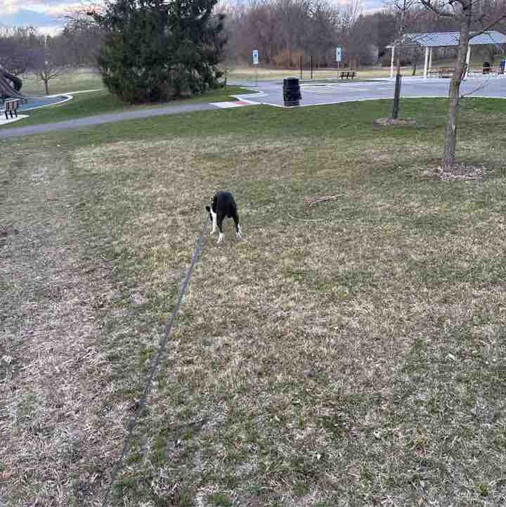 sarahsullivan327 post 1