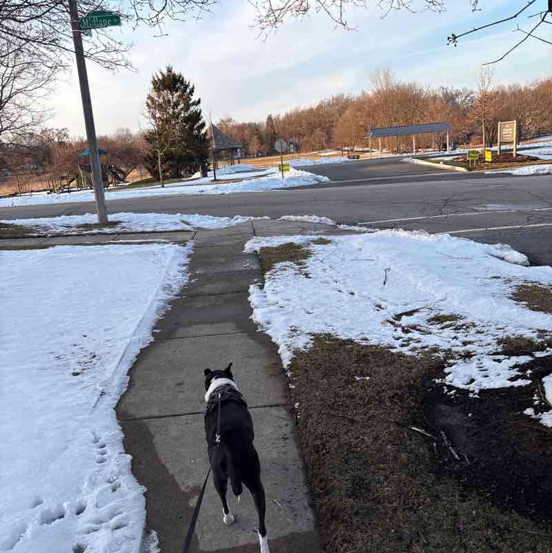 sarahsullivan327 post 1