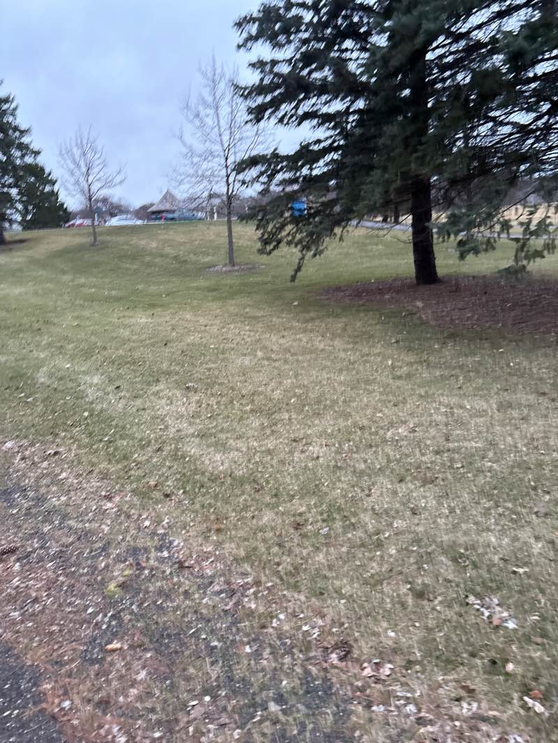 walking near me in Woodland Estates Park in spring