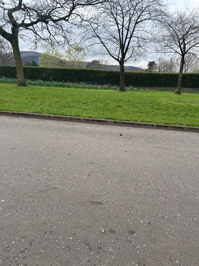 walking near me in Woodvale Park in spring