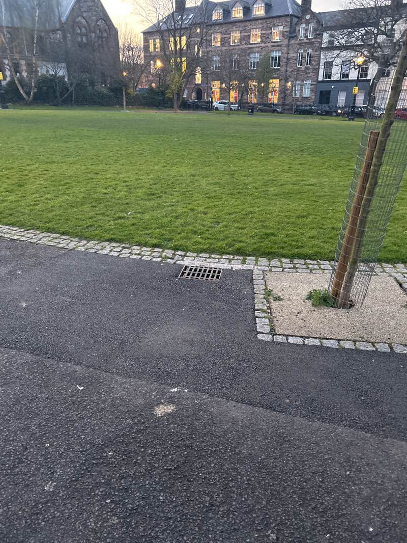 walking near me in Crescent Park in spring