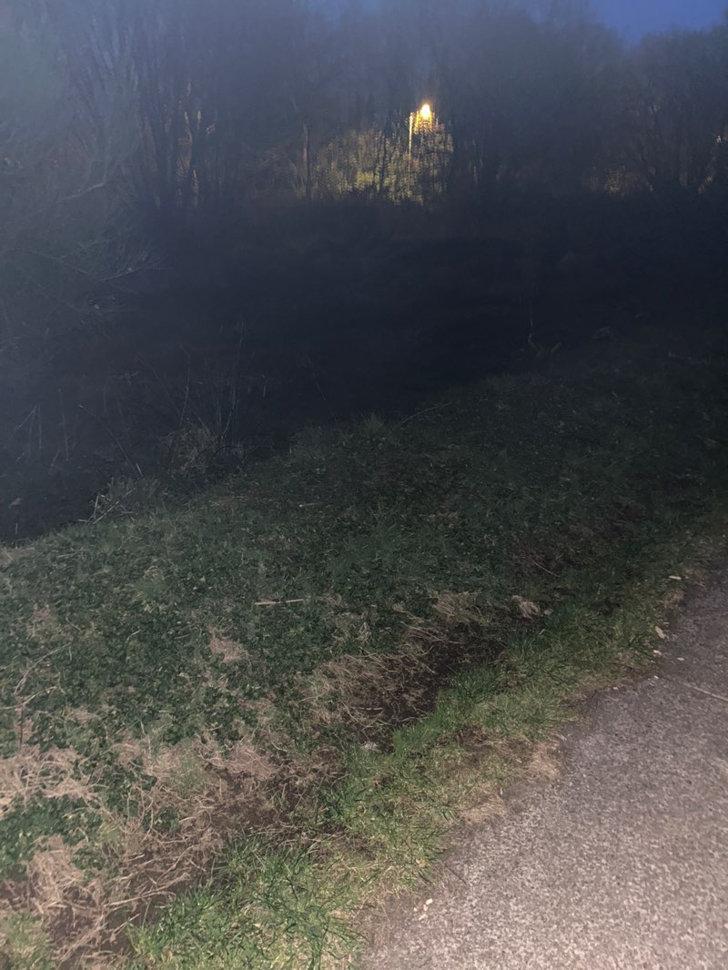 walking near me in Old Golf Course Park in spring