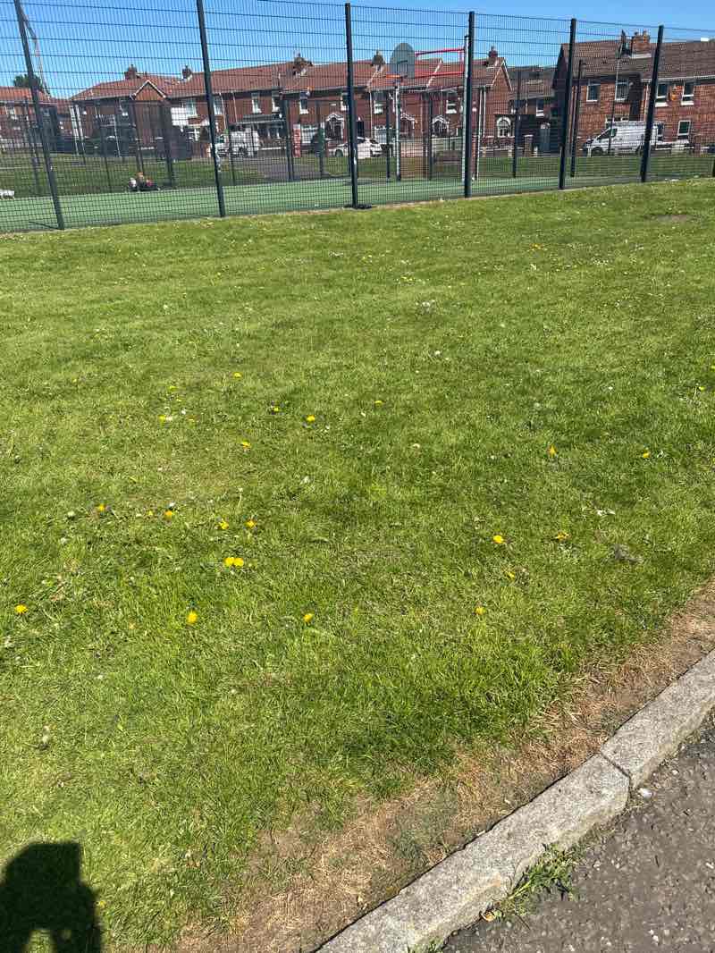 walking near me in Springhill Millennium Park in spring