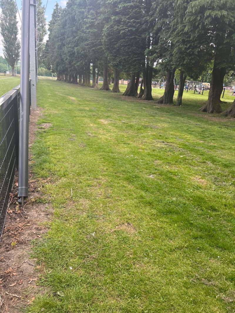 walking near me in Cherryvale Playing Fields in spring