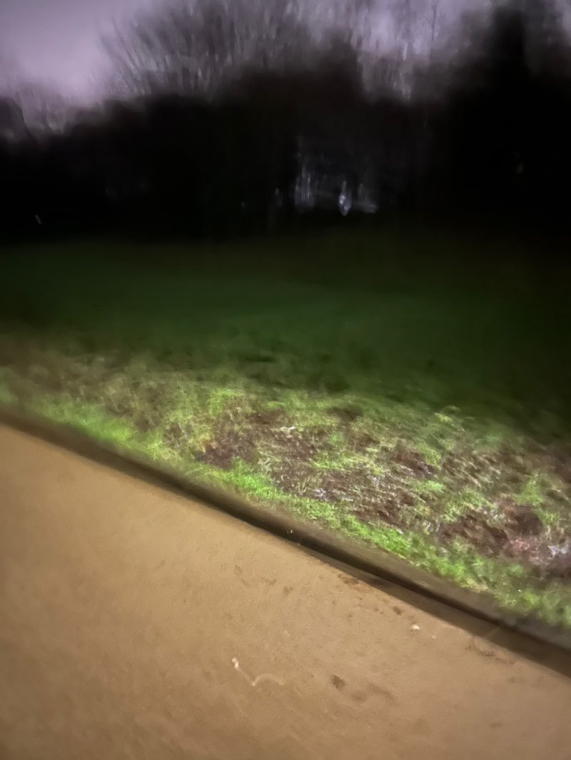 walking near me in Falls Park in winter