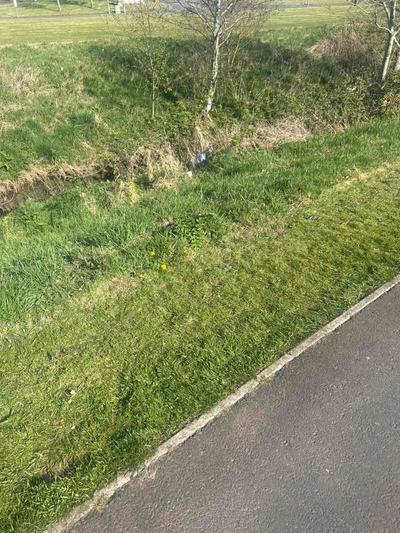 walking near me in Derriaghy Riverpath Park in spring