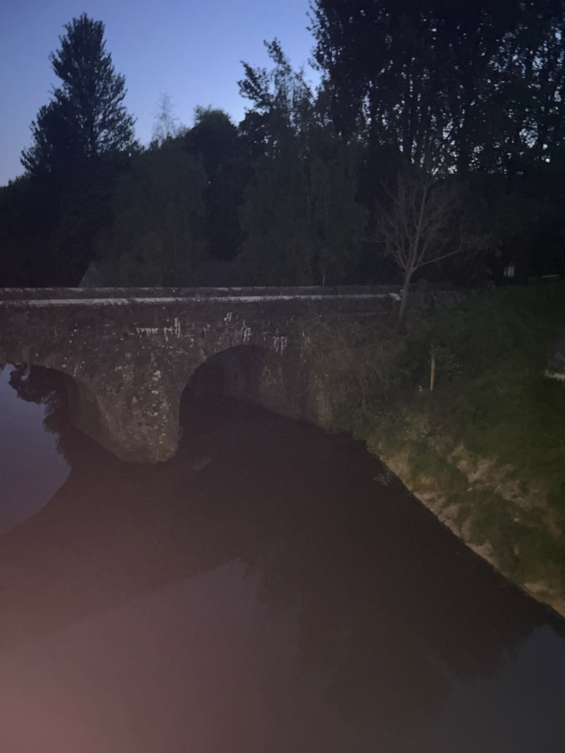 walking near me in Clement Wilson Park in spring