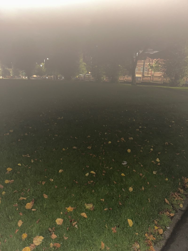 walking near me in Dunville Park in autumn