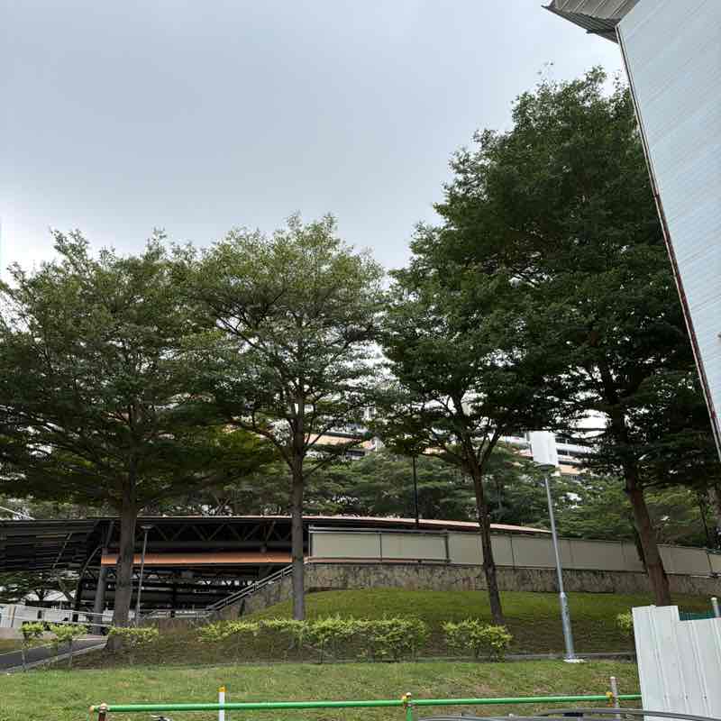 ANKU0006 post 1