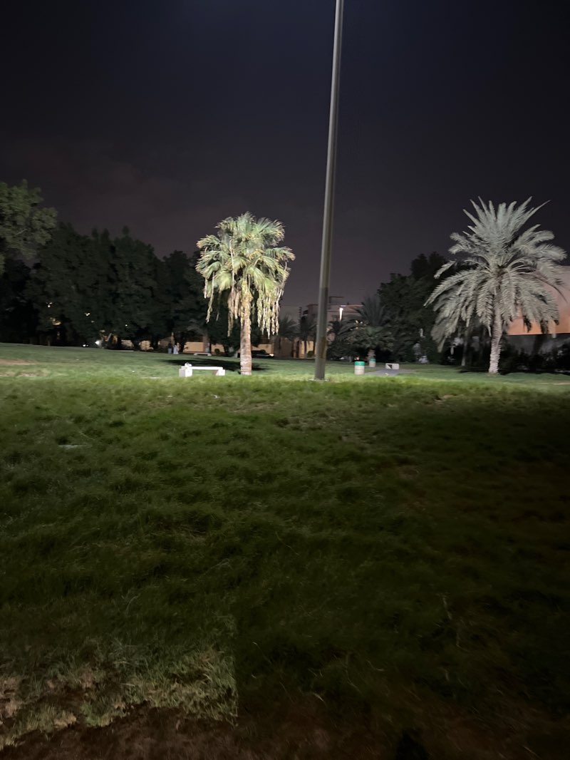 walking near me in Rawdah Park in autumn