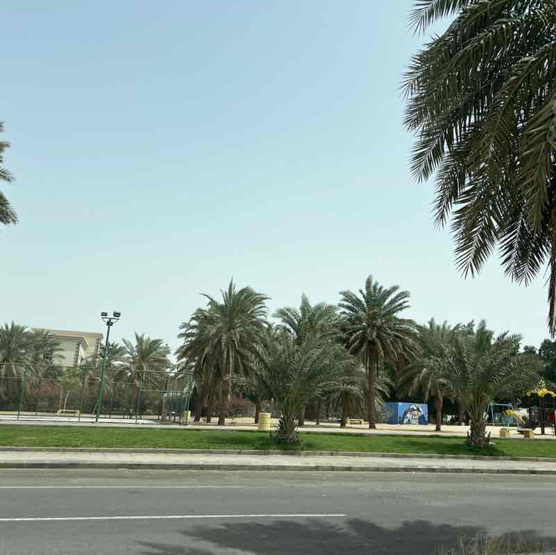 aleissa.desso post 2