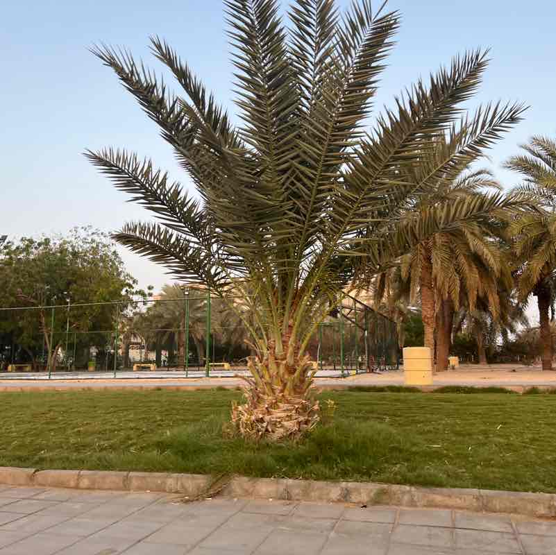 aleissa.desso post 2