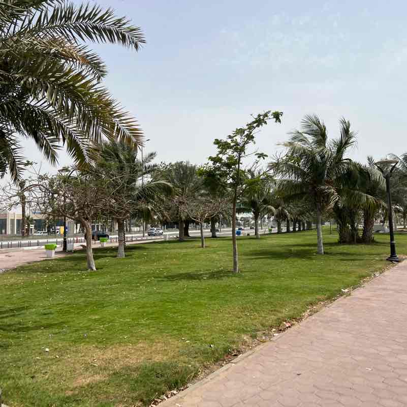 aleissa.desso post 3