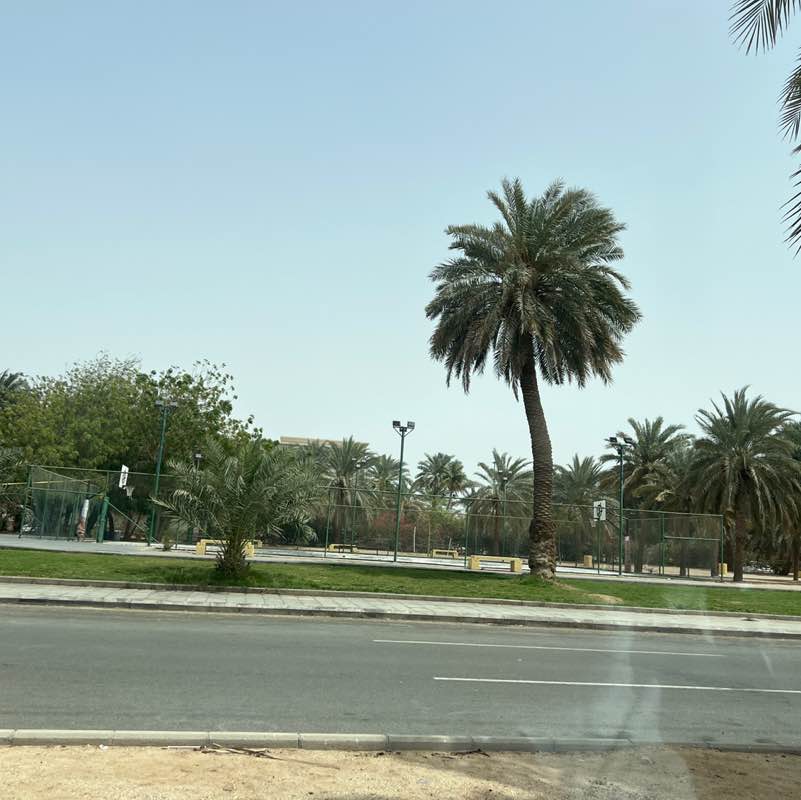 aleissa.desso post 1