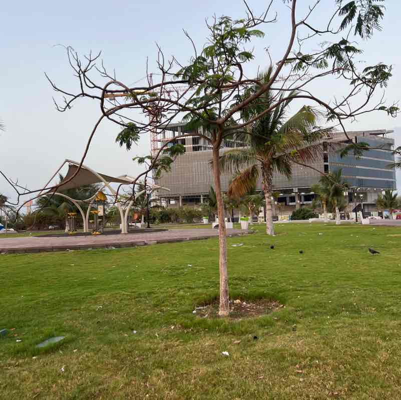 aleissa.desso post 3