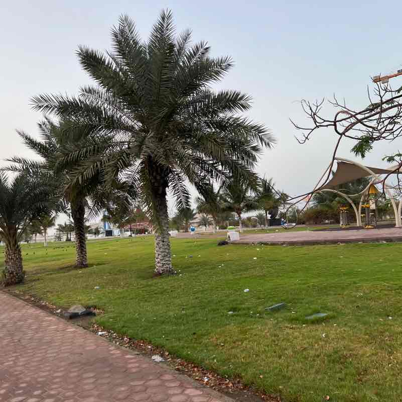 aleissa.desso post 2