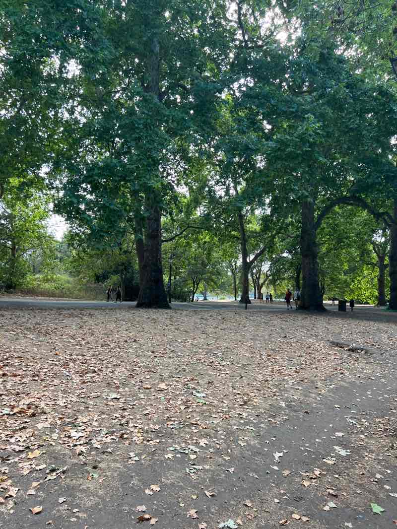 walking near me in Battersea Park in autumn