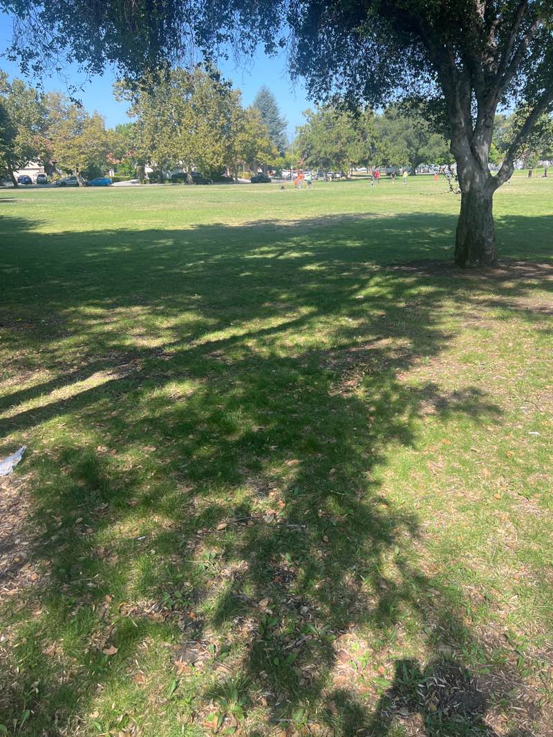 walking near me in Cataldi Park in summer