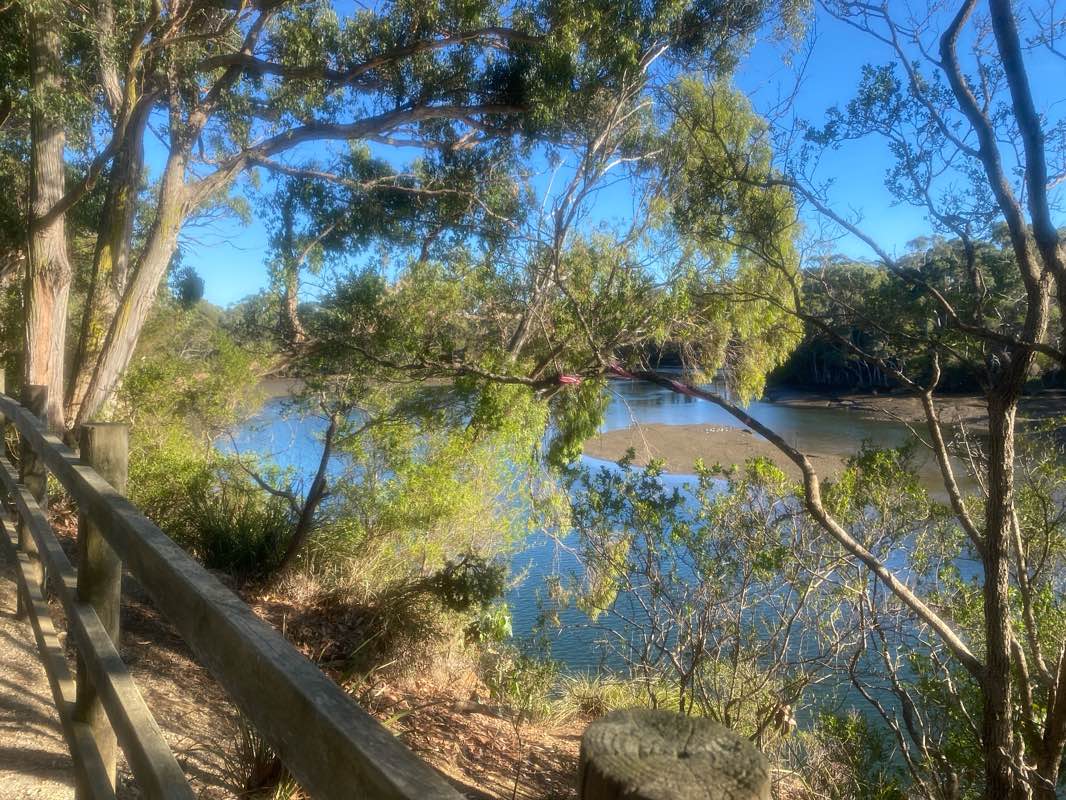 walking near me in Richard Gutteridge Memorial Gardens in summer