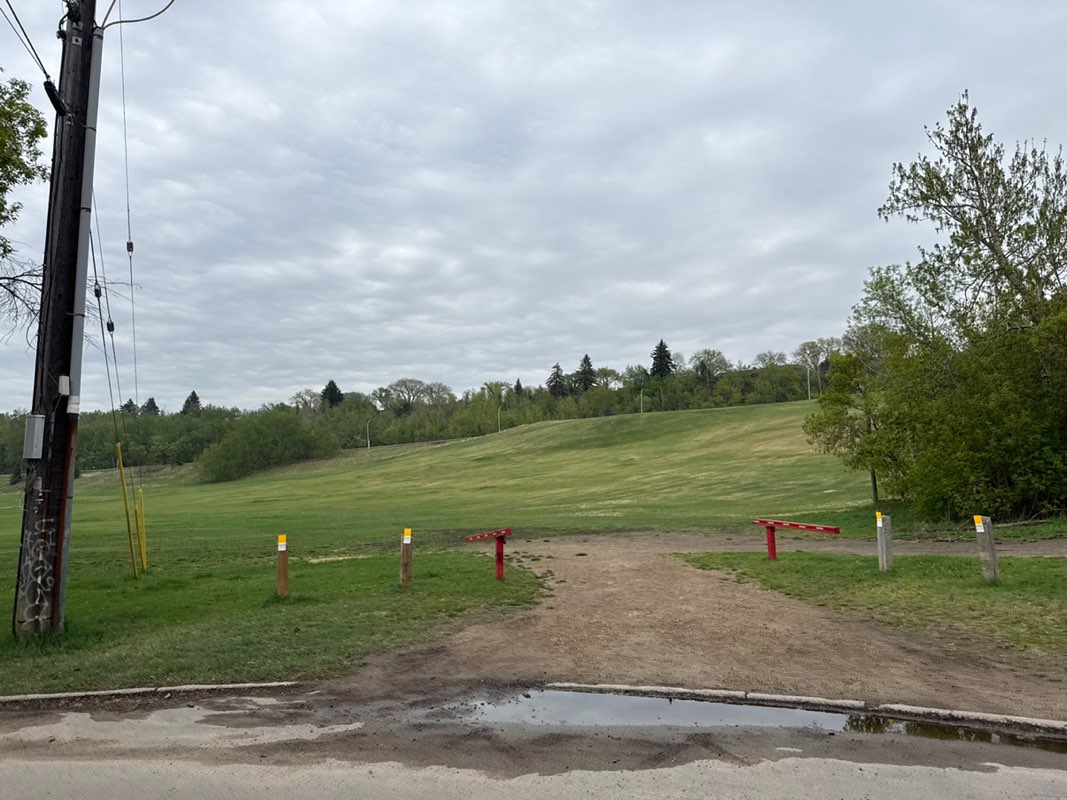 walking near me in Gallagher Park in spring