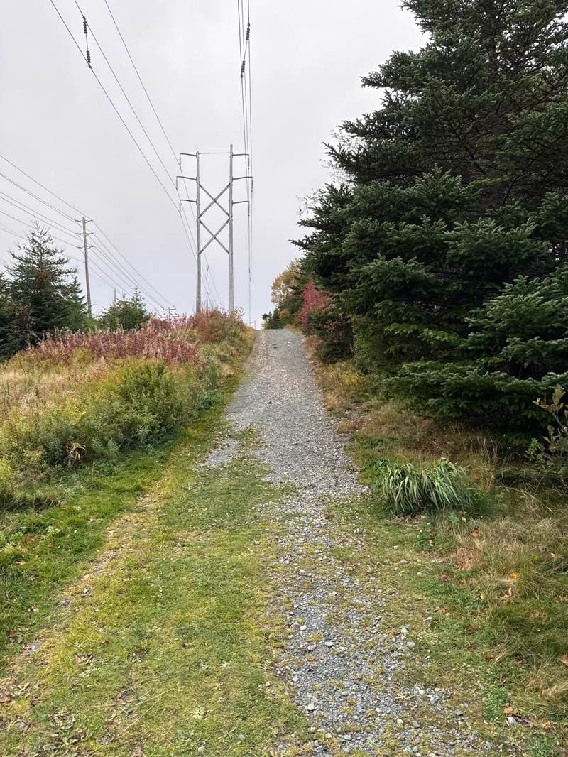 walking near me in Eastbourne Crescent Park in autumn