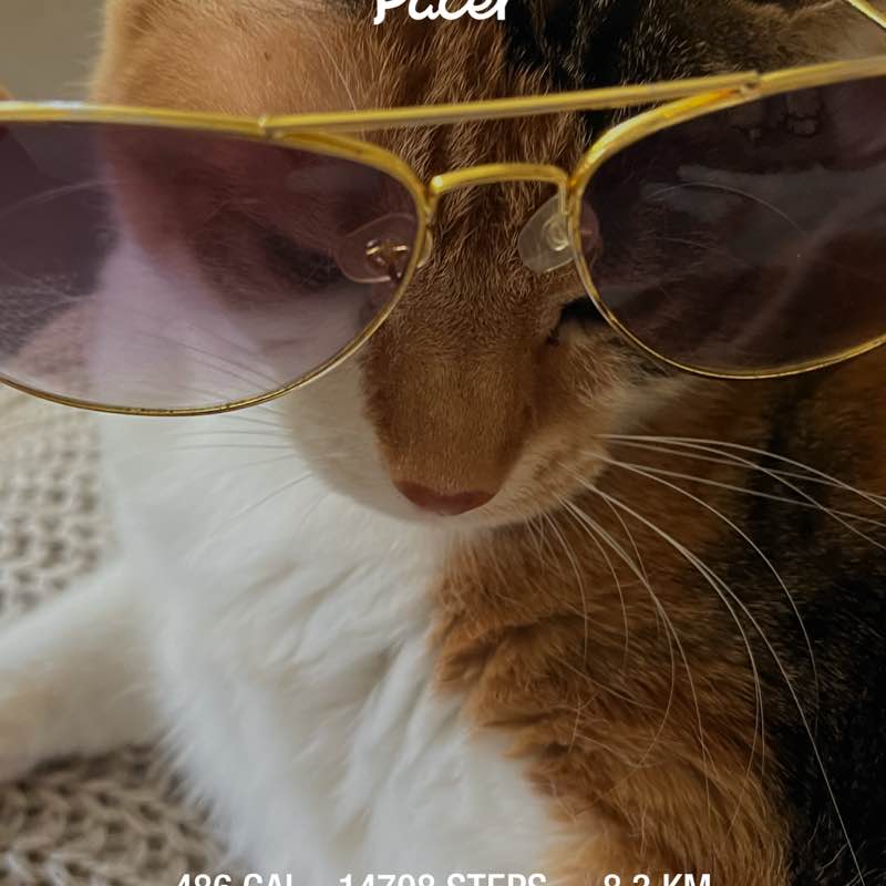 Chocolate Mamsia post 1