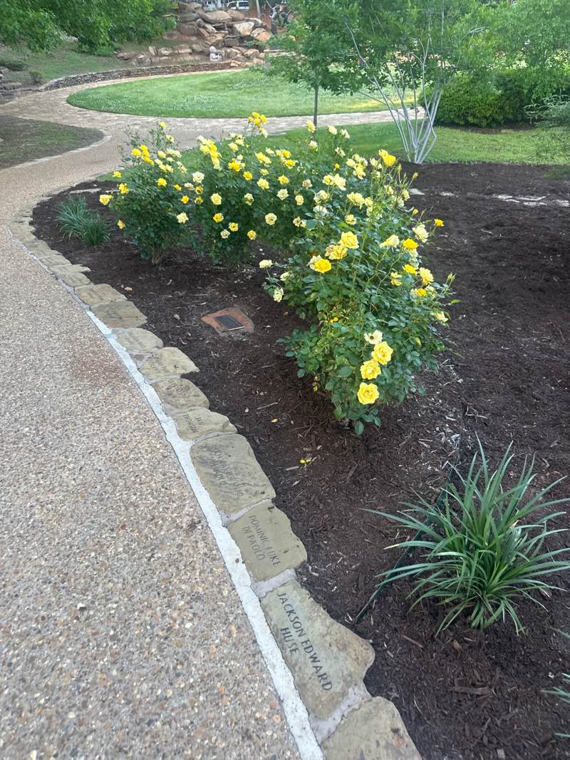 walking near me in The Children's Park of Tyler in spring