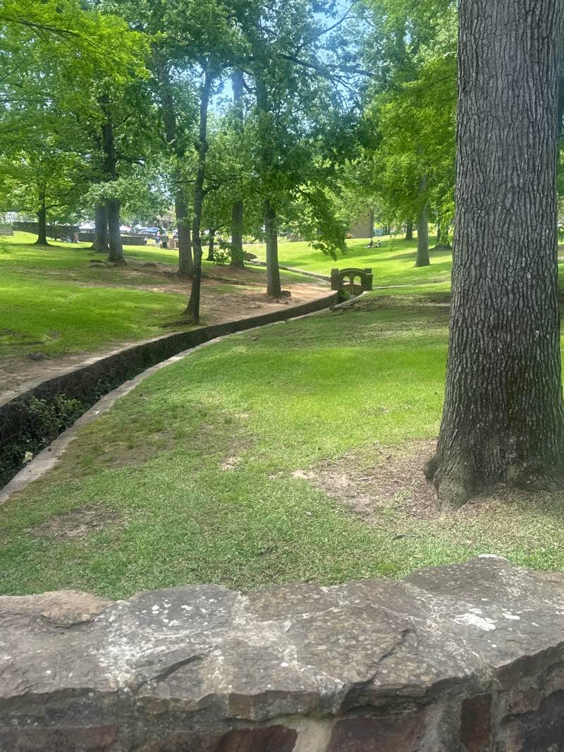 walking near me in Bergfeld Park in spring