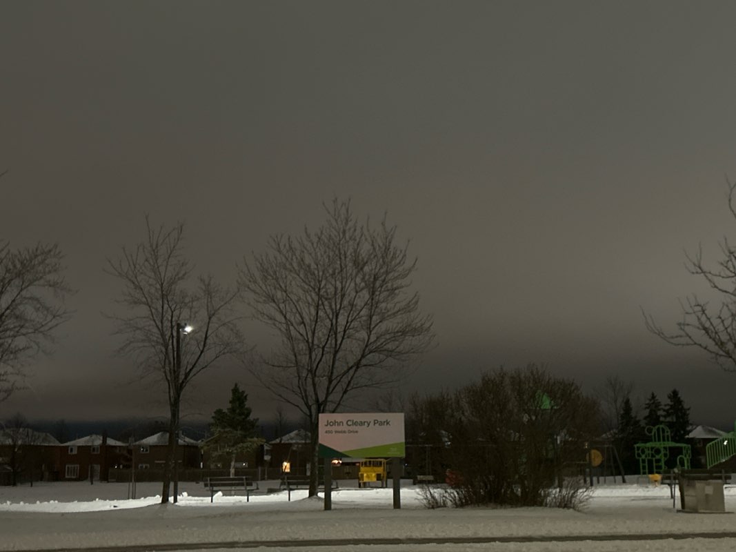 walking near me in Cleary Park in winter