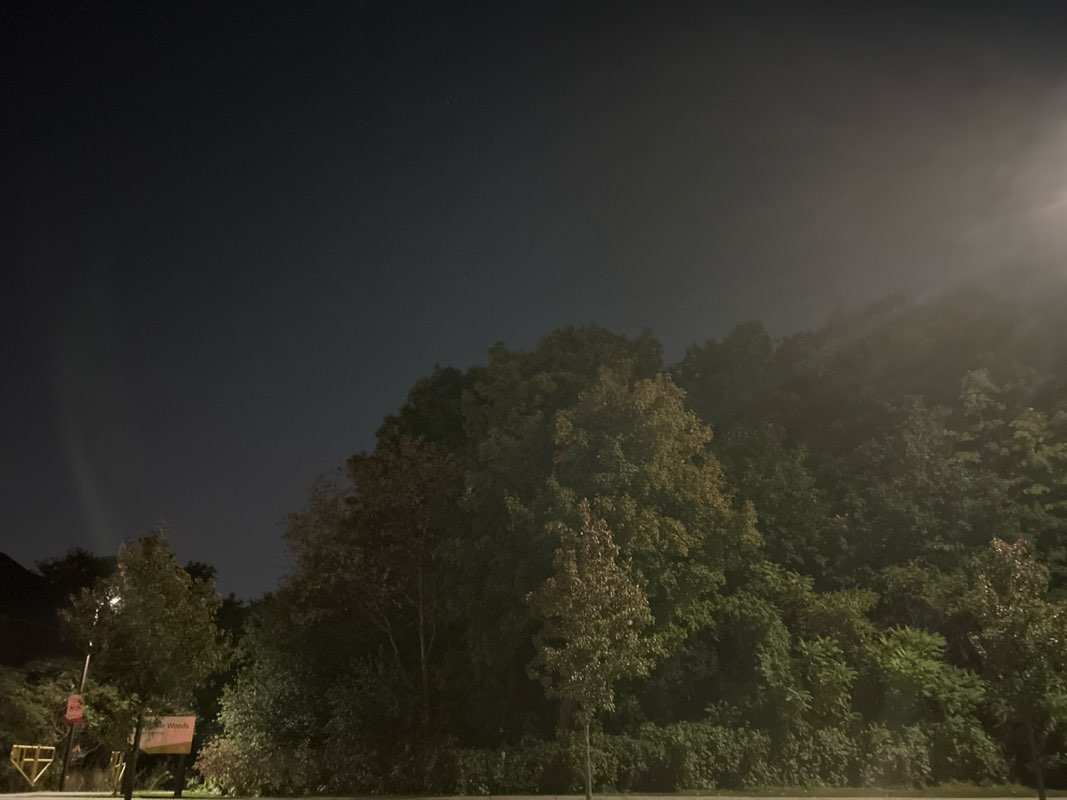 walking near me in McKechnie Woods in autumn