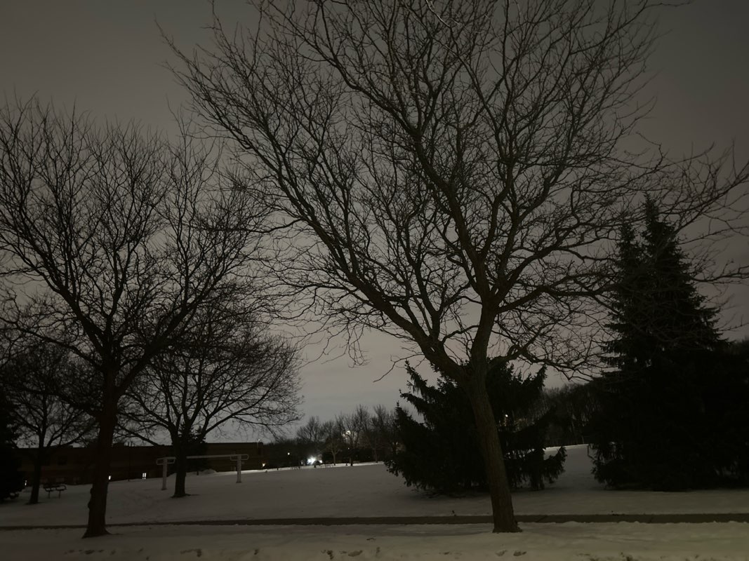 walking near me in Staghorn Woods Park in winter