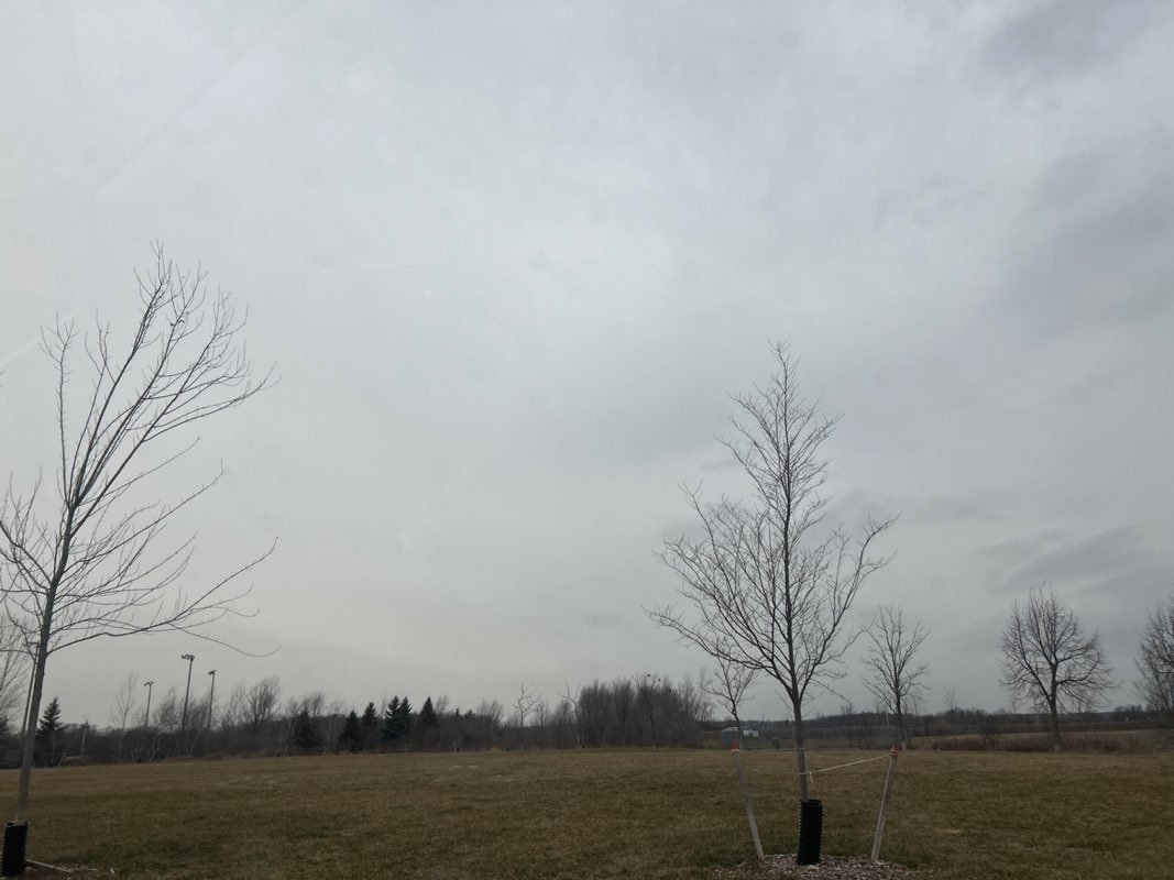 walking near me in Palermo Park in winter