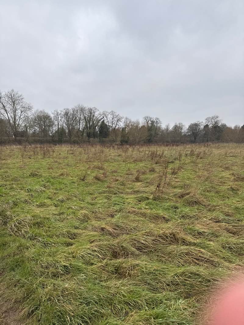 walking near me in Common Meadow in winter