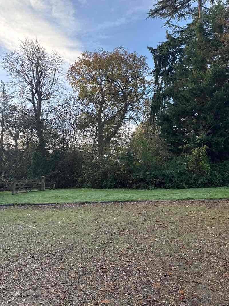 walking near me in Woodlands Park in autumn