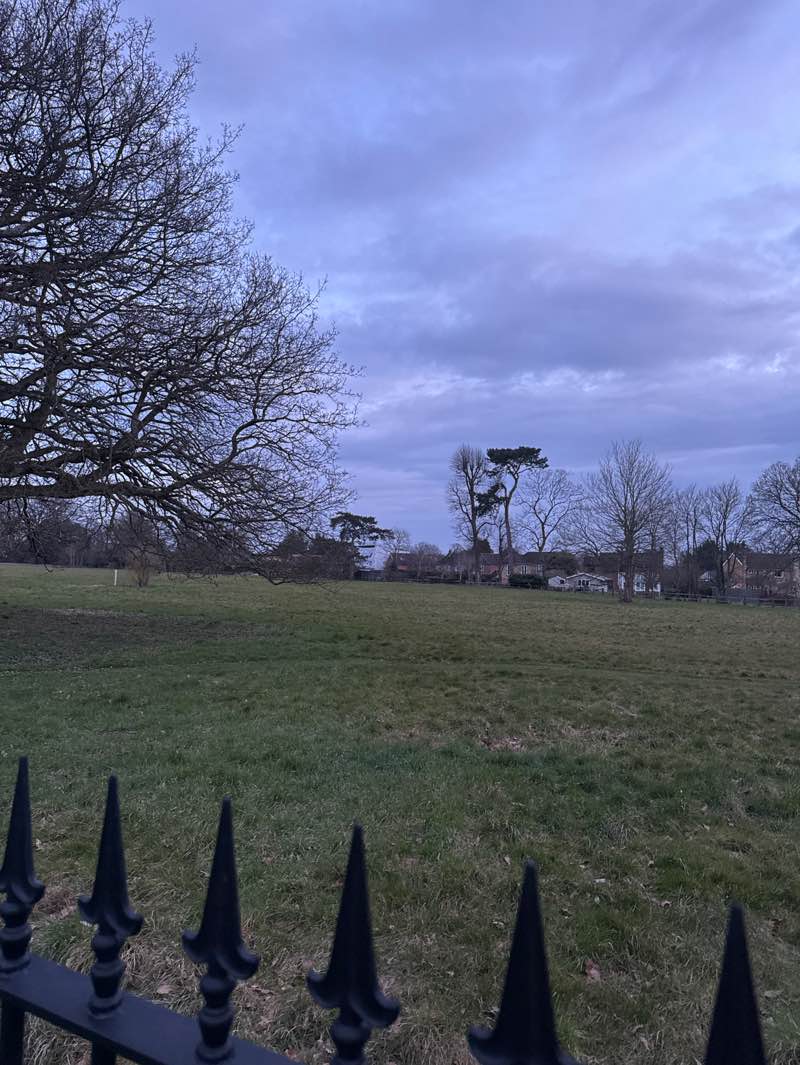 walking near me in Knowle Hill Park in spring